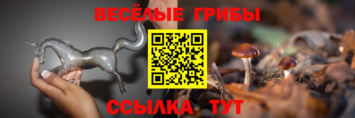 Псилоцибиновые грибы ЛСД  купить наркотик  Кирово-Чепецк  Вход с VPN 